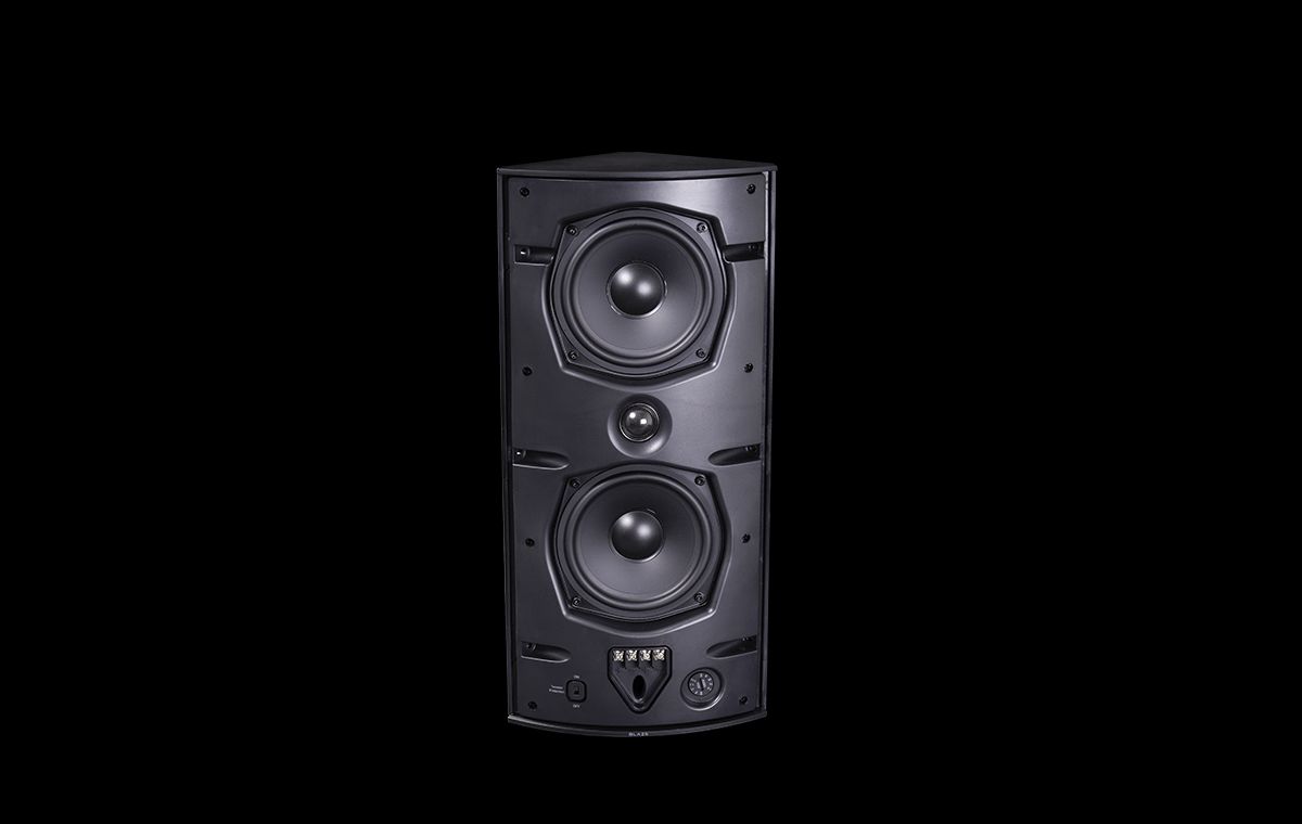 BLAZE Enceinte Multiusage Ci5-V 80 W / 320 W Black (PAIR) (2/2)