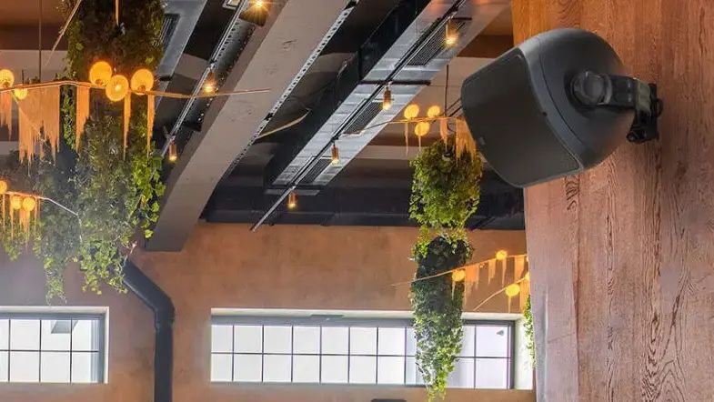 Enceinte noire fixée à un mur de restaurant, entourée de plantes suspendues